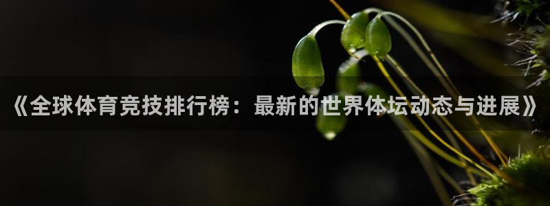 3377体育官网下载平台假的吗是真的吗吗：《全球体育竞技排行
