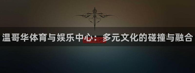 海南3377体育官网下载：温哥华体育与娱乐中心：多元文化的碰