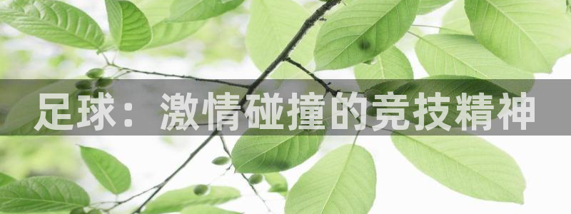 3377体育官网下载招商电话号码查询：足球：激情碰撞