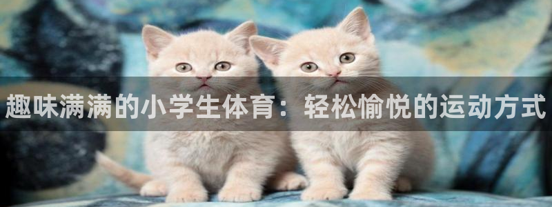 3377体育官网下载娱乐：趣味满满的小学生体育：轻松愉悦的运