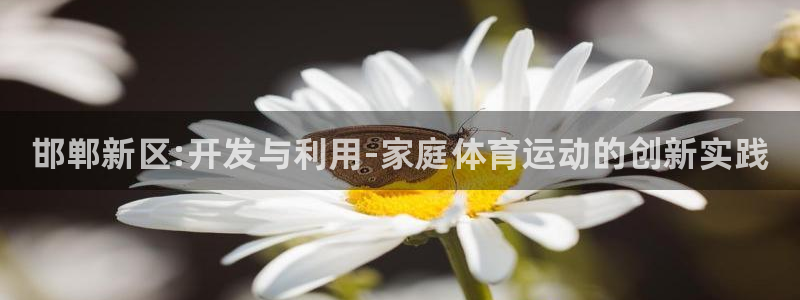 3377体育官方正版app科技：邯郸新区:开发与利用