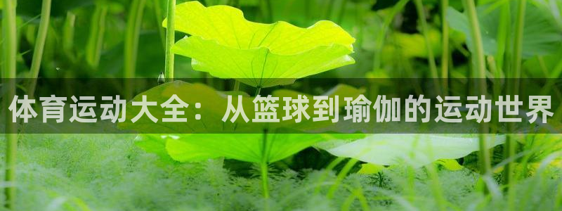 3377体育官网下载招商电话号码：体育运动大全：从篮