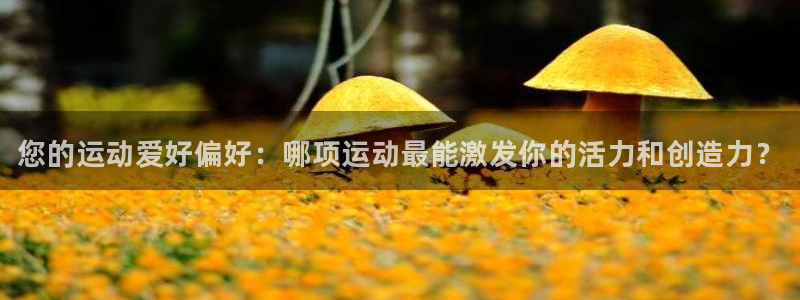 3377体育官网下载：您的运动爱好偏好：哪项运动最能