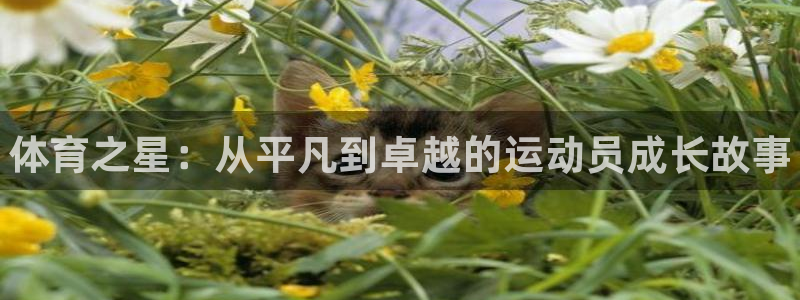3377体育官方平台体育：体育之星：从平凡到卓越的运动员成长