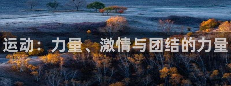 3377体育官方正版app娱乐是那个系列的台子：运动