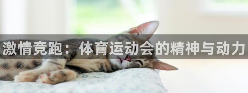 3377体育官网下载平台：激情竞跑：体育运动会的精神