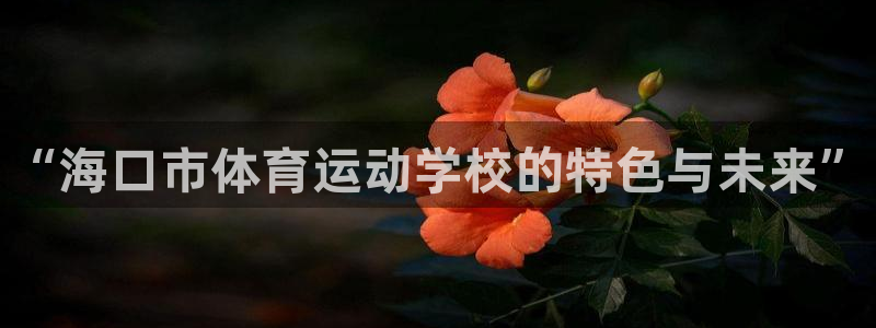 3377体育官网下载平台是正规平台吗安全吗：“海口市体育运动