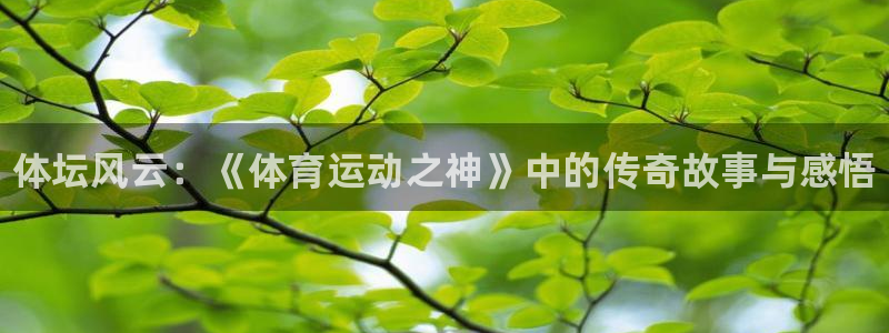 3377体育官网下载平台假的吗是真的吗：体坛风云：《