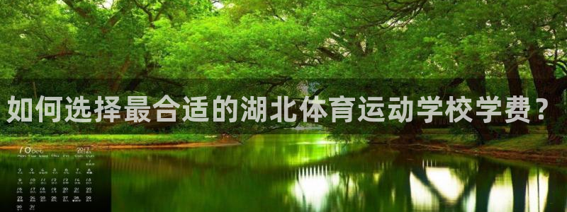 3377体育官方正版app集团logo：如何选择最合