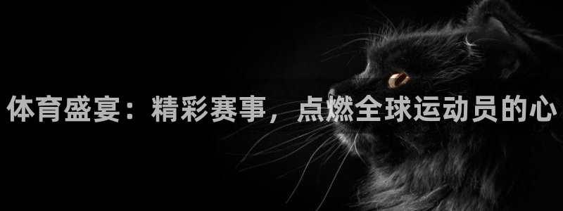 海南3377体育官网下载发展怎么样：体育盛宴：精彩赛