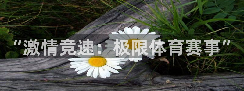 3377体育官网下载招商电话是多少：“激情竞速：极限体育赛事