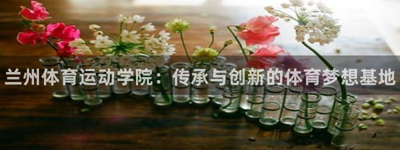 3377体育官网下载招商电话是多少：兰州体育运动学院：传承与