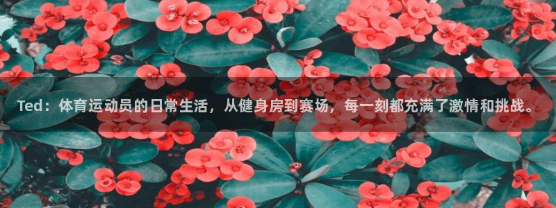 3377体育官网下载平台注册流程视频：Ted：体育运