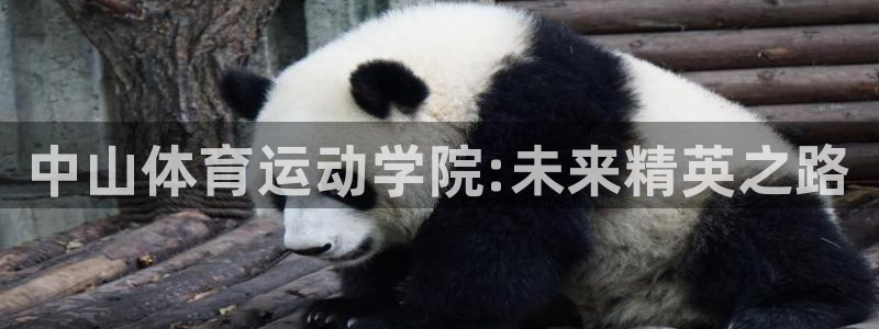 3377体育官方集团官网：中山体育运动学院:未来精英之路