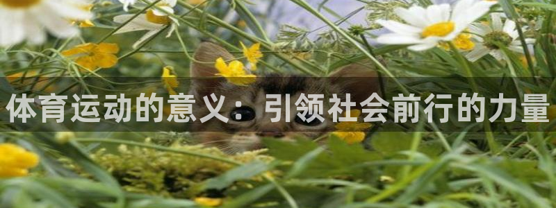 3377体育官网下载联系电话：体育运动的意义：引领社