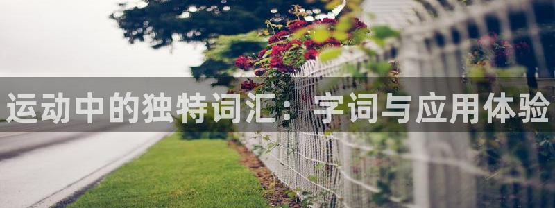 3377体育官网下载招商电话号码：运动中的独特词汇：字词与应
