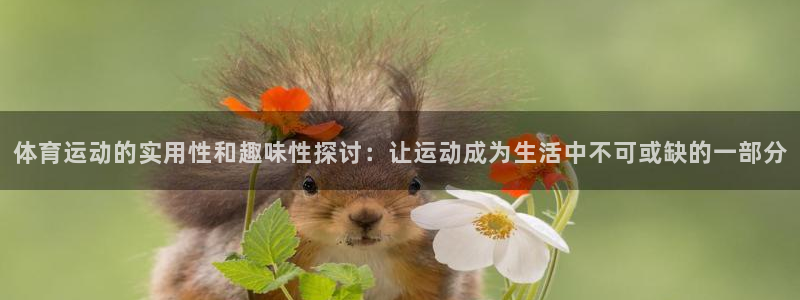 3377体育官网下载平台是正规平台吗安全吗：体育运动的实用性