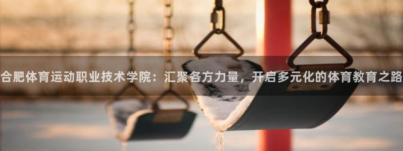 注册3377体育官方正版app：合肥体育运动职业技术学院：汇