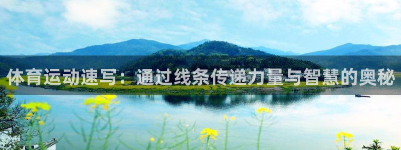 3377体育官方正版app代理：体育运动速写：通过线条传递力