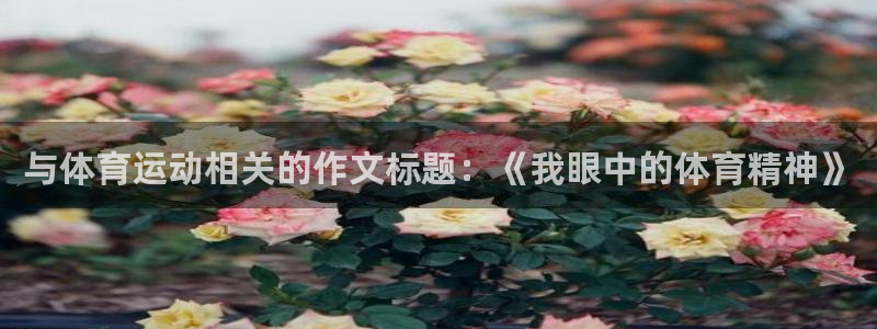 3377体育官网下载娱乐