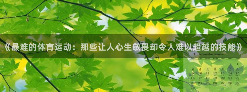 3377体育官网下载