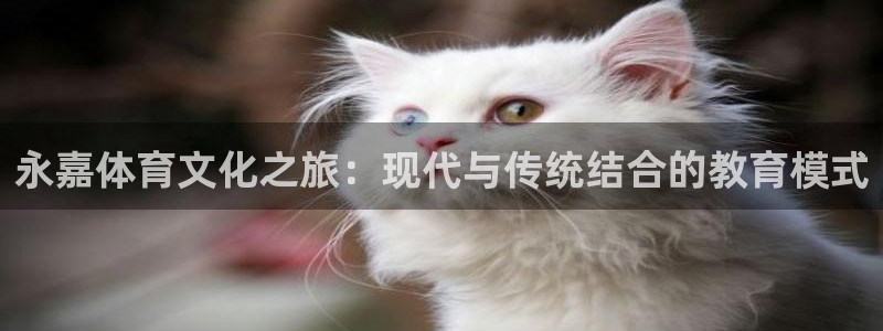 3377体育官网下载平台注册流程图：永嘉体育文化之旅：现代与