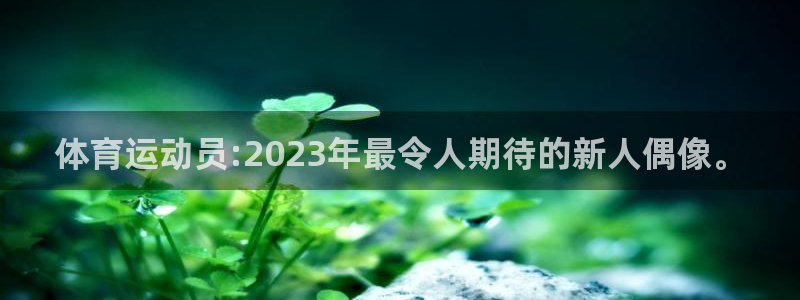 3377体育官方正版app开户