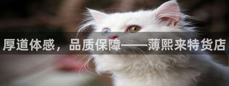 3377体育官网下载招商电话是多少：厚道体感，品质保障——薄