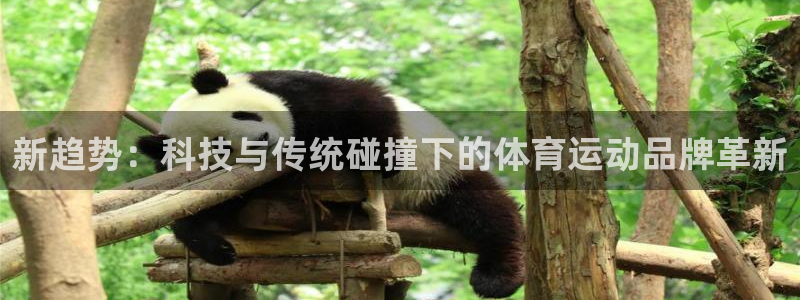 3377体育官方正版app娱乐：新趋势：科技与传统碰撞下的体