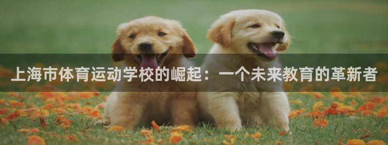 3377体育官方平台体育