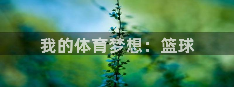 3377体育官网下载招商电话：我的体育梦想：篮球