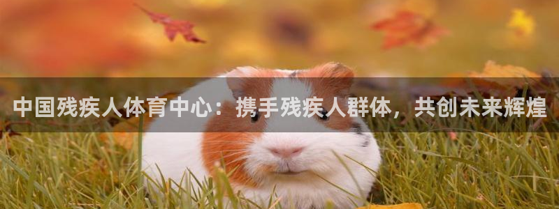 3377体育官方正版app集团简介