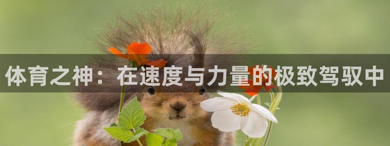 3377体育官网下载招商电话是多少