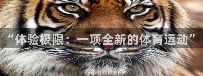 3377体育官网下载招商电话号码查询：“体验极限：一项全新的