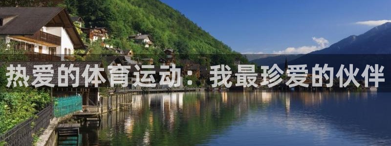 3377体育官方正版app集团E.ON