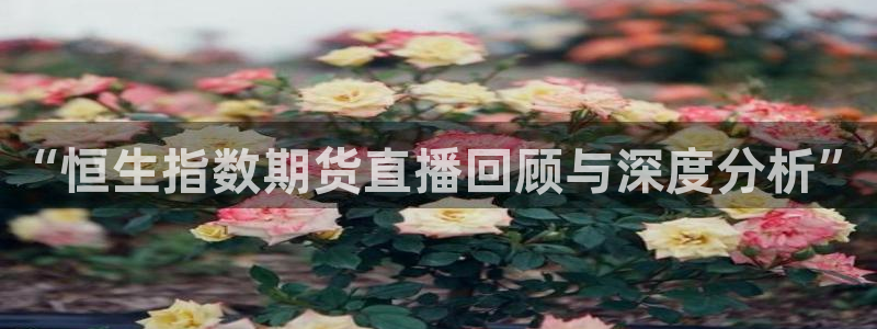 玩球直播app官方版下载