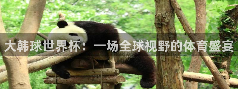 玩球直播nba直播在线直播