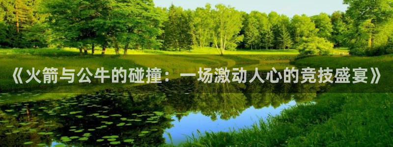 nba玩球直播手机在线直播：《火箭与公牛的碰撞：一场激动人心的竞技盛宴》