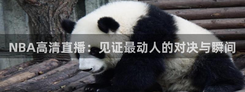 玩球直播下载：NBA高清直播：见证最动人的对决与瞬间