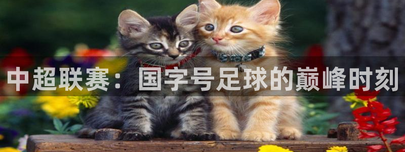 玩球视频：中超联赛：国字号足球的巅峰时刻