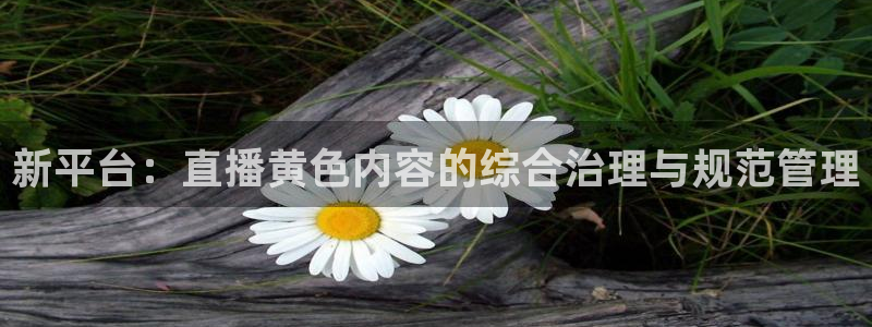 玩球直播app下载：新平台：直播黄色内容的综合治理与规范管理